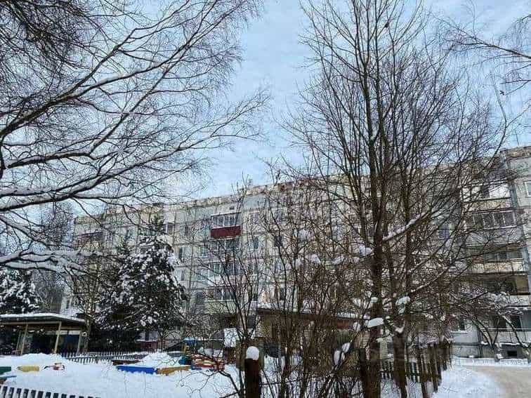 Россия, Новгородский муниципальный округ, Савинское сельское поселение, деревня Новоселицы, Армейская улица, 102, фото 35