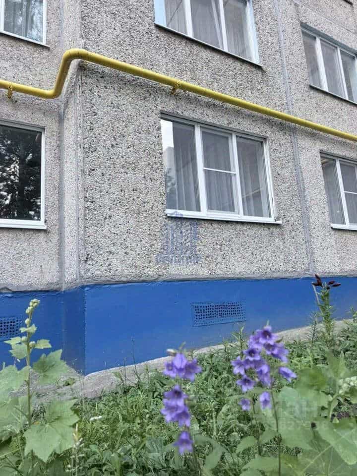 Россия, Чувашская Республика — Чувашия, Чебоксары, Университетская улица, 19, фото 18