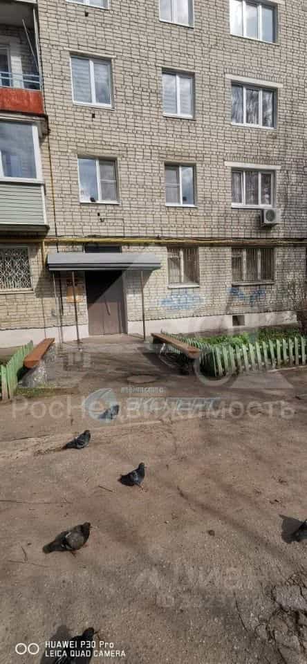 Россия, Владимирская область, Кольчугино, улица Добровольского, 11, фото 27