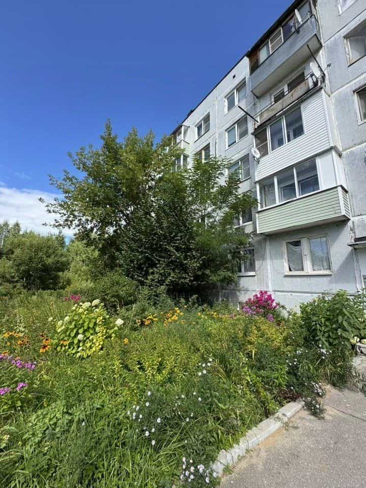 Россия, Московская область, Орехово-Зуевский городской округ, деревня Новое, Гвардейская улица, 3, фото 31