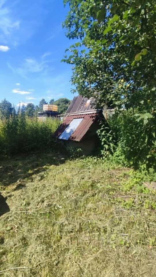Россия, Новгородская область, Малая Вишера, Школьная улица, 24, фото 7