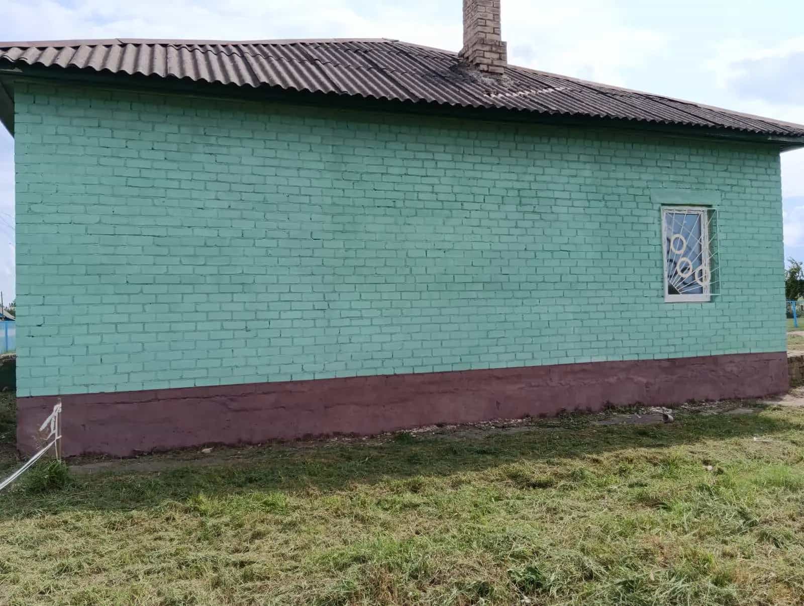 Беларусь, Минская область, Солигорский район, Краснослободский сельсовет, деревня Дубово, Центральная улица, 24, фото 5