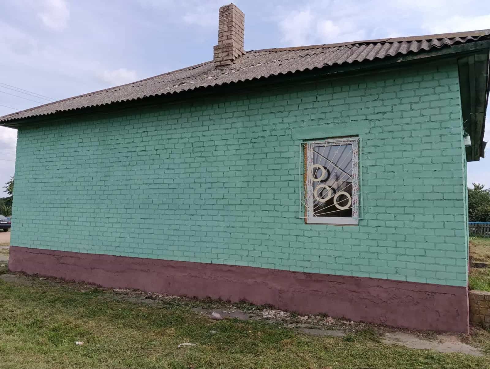 Беларусь, Минская область, Солигорский район, Краснослободский сельсовет, деревня Дубово, Центральная улица, 24, фото 12