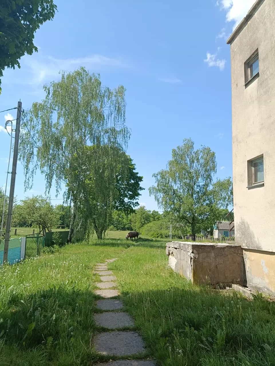 Беларусь, Минская область, Воложинский район, Вишневский сельсовет, деревня Подберезь, Школьная улица, 3А, фото 11
