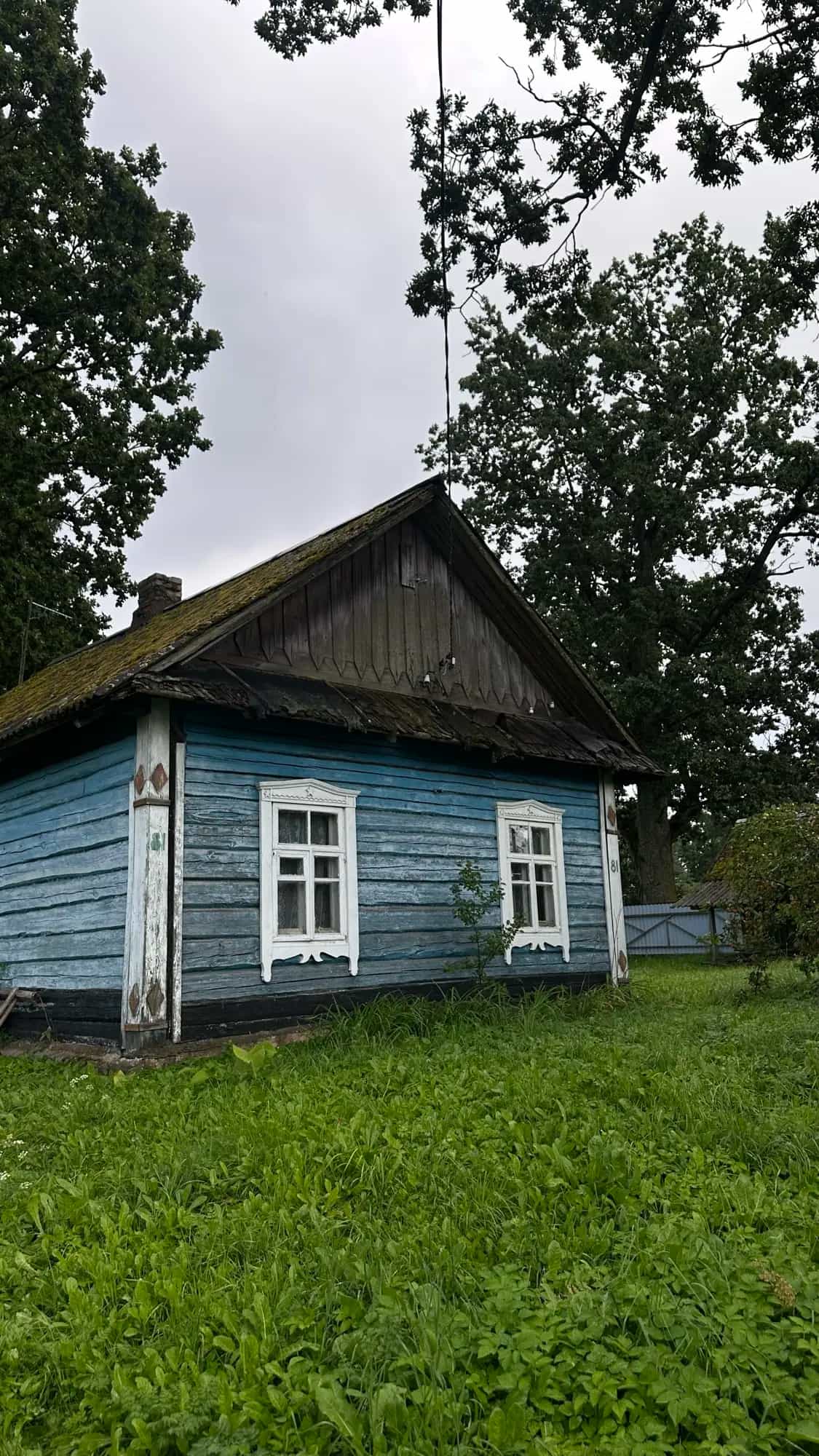 Беларусь, Минская область, Логойский район, Янушковичский сельсовет, деревня Янушковичи, Центральная улица, 81, фото 8