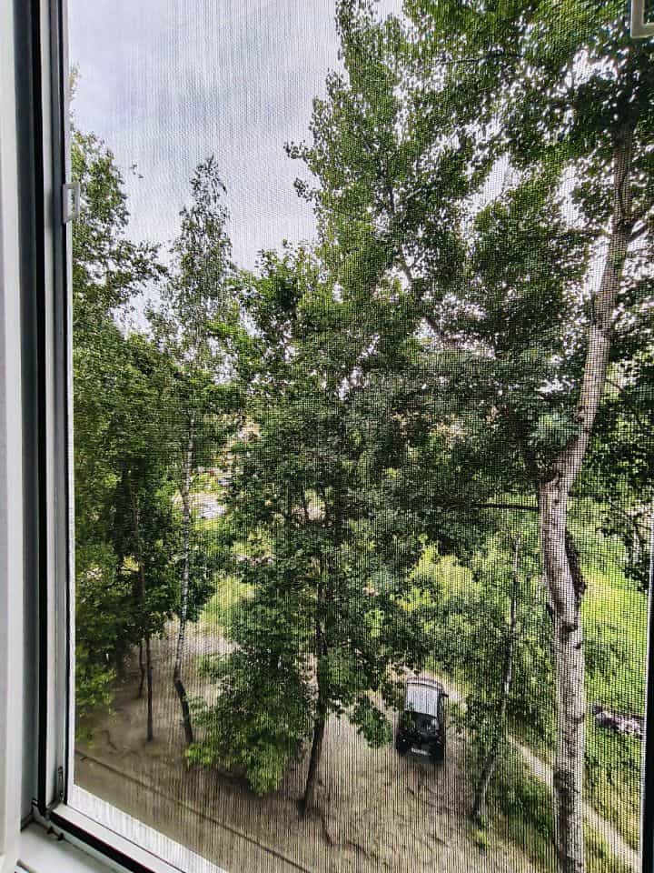 Россия, Брянск, Красная улица, 16, фото 12