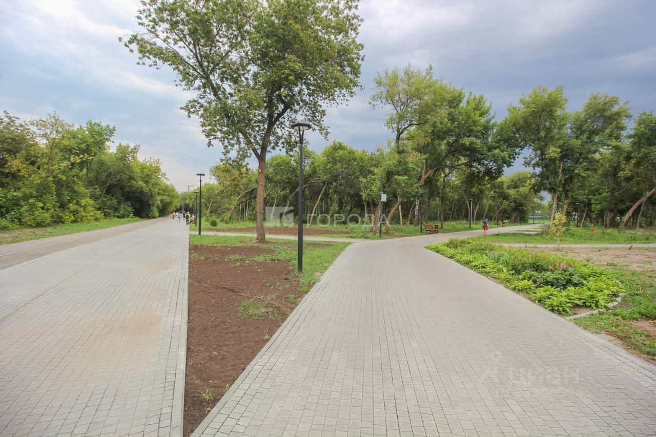 Россия, Алтайский край, Барнаул, улица Антона Петрова, 223, фото 41
