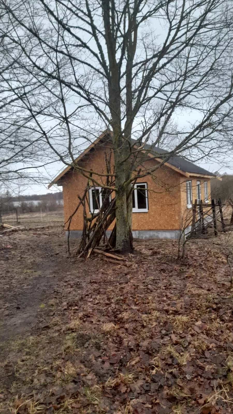 Беларусь, Витебская область, Сенненский район, Богдановский сельсовет, деревня Королевичи, Бешенковичская улица, 10, фото 8