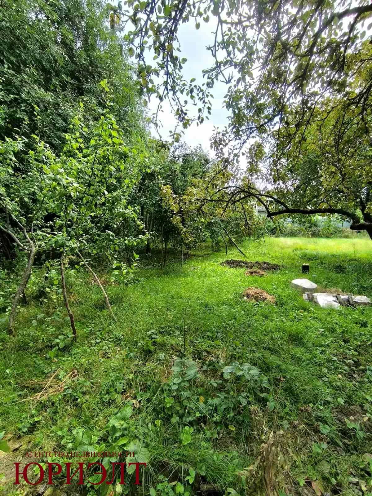 Беларусь, Гомельский район, агрогородок Ерёмино, Железнодорожная улица, 7, фото 40