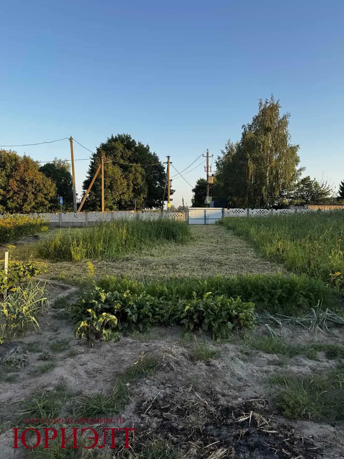 Беларусь, Брестская область, Пинский район, агрогородок Оснежицы, Оснежицкая улица, 34, фото 5