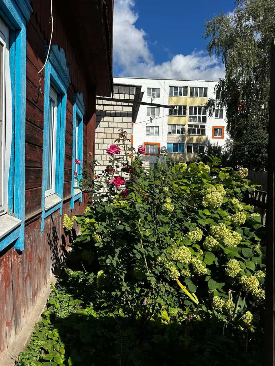 Беларусь, Гомельская область, Жлобин, Ленинская улица, 16, фото 4