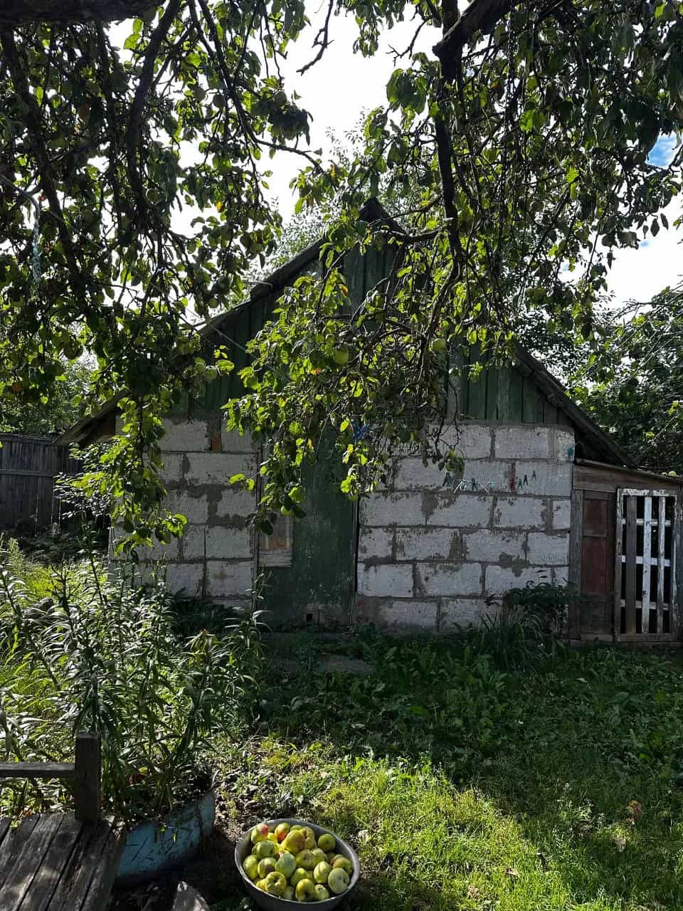 Беларусь, Гомельская область, Жлобин, Ленинская улица, 16, фото 20