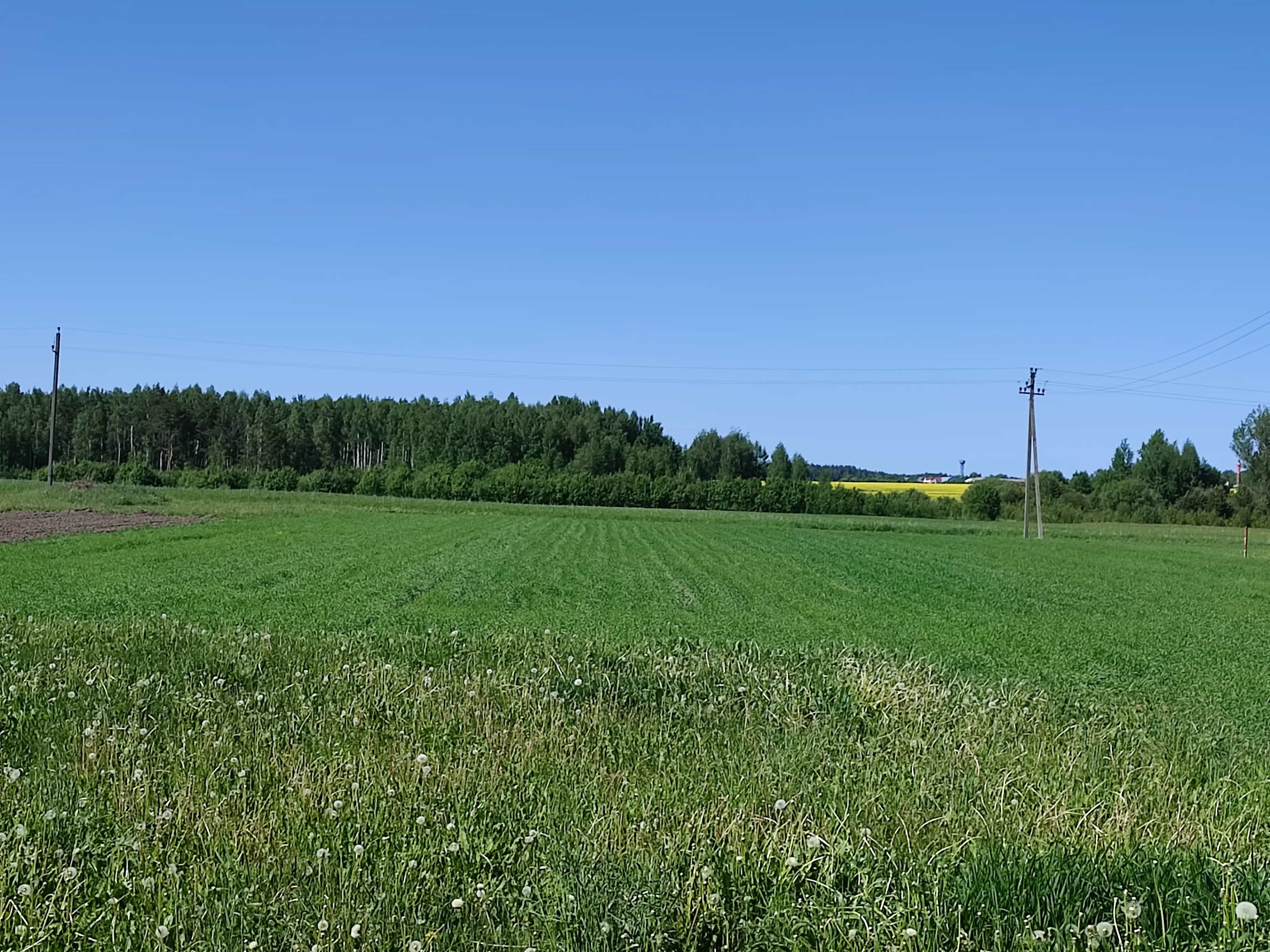 Беларусь, Минская область, Вилейский район, Осиповичский сельсовет, деревня Баранцы, Советская улица, 54, фото 11