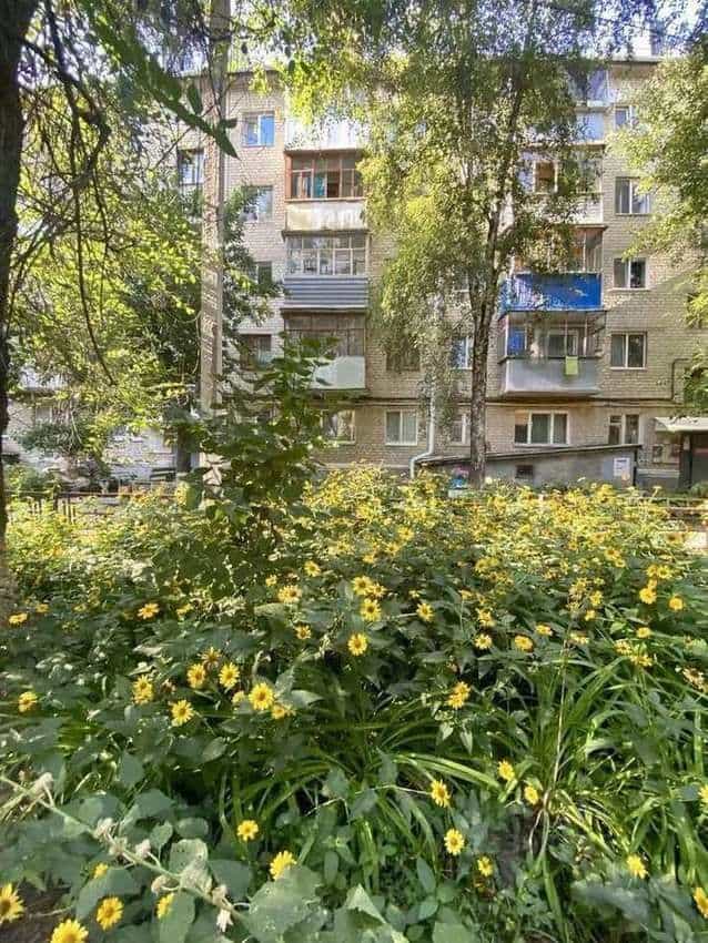 Россия, Белгород, Студенческая улица, 9, фото 9