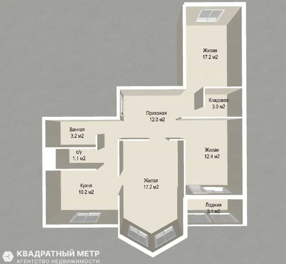 Беларусь, Минский район, Боровлянский сельсовет, деревня Копище, улица Леонардо да Винчи, 1, фото 27