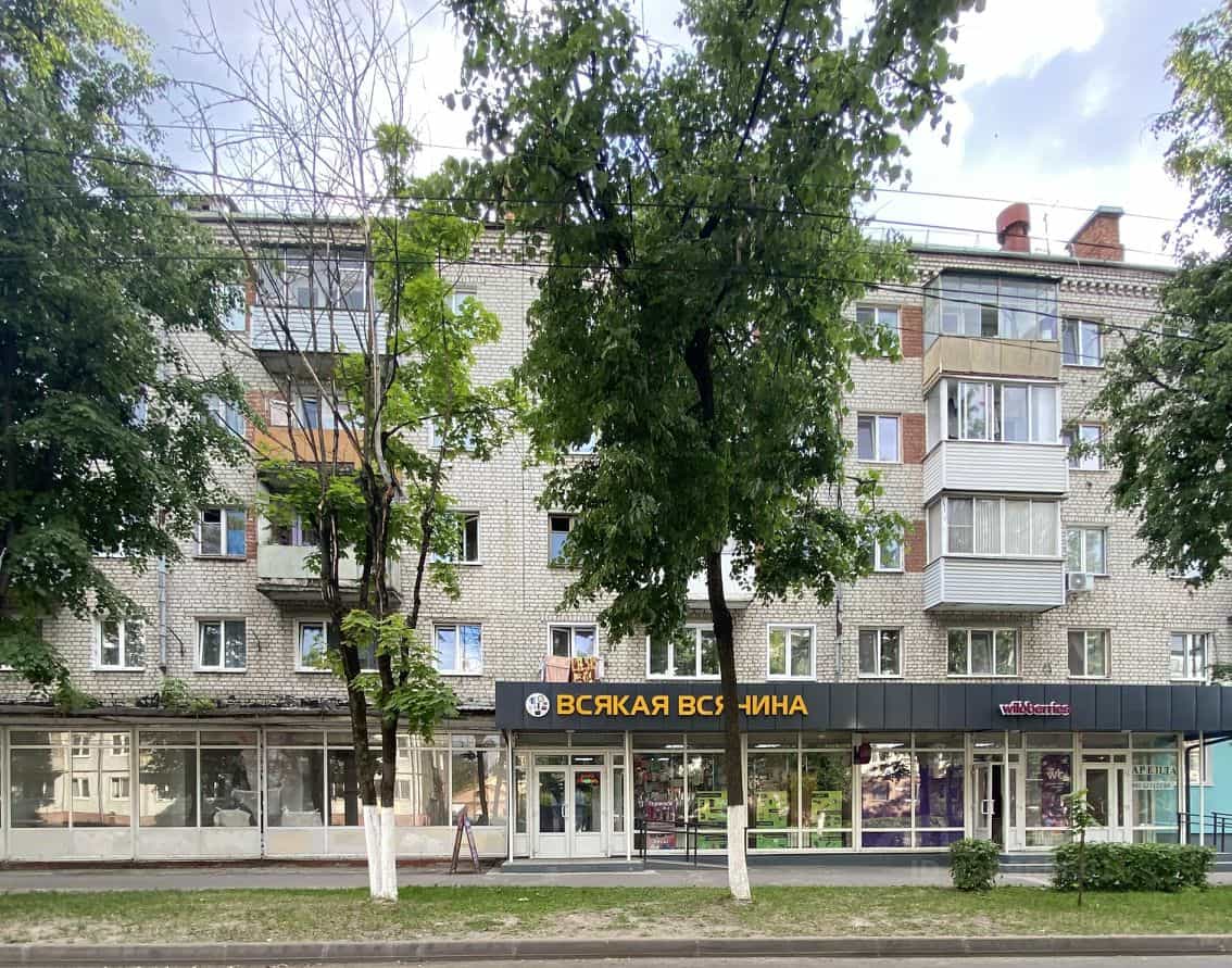 Россия, Брянск, улица Димитрова, 49