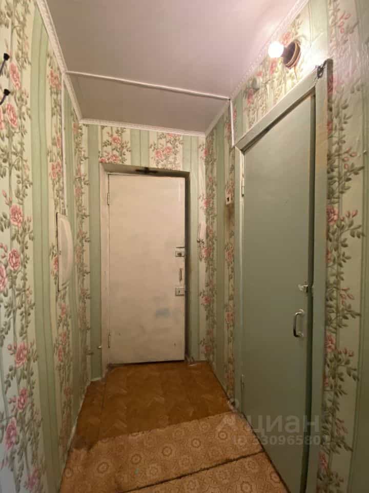 Россия, Брянск, улица Димитрова, 49, фото 14