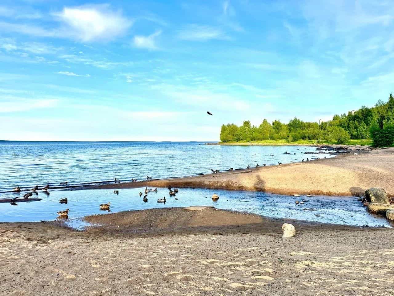 Россия, Республика Карелия, Петрозаводск, набережная Варкауса, 37, фото 12