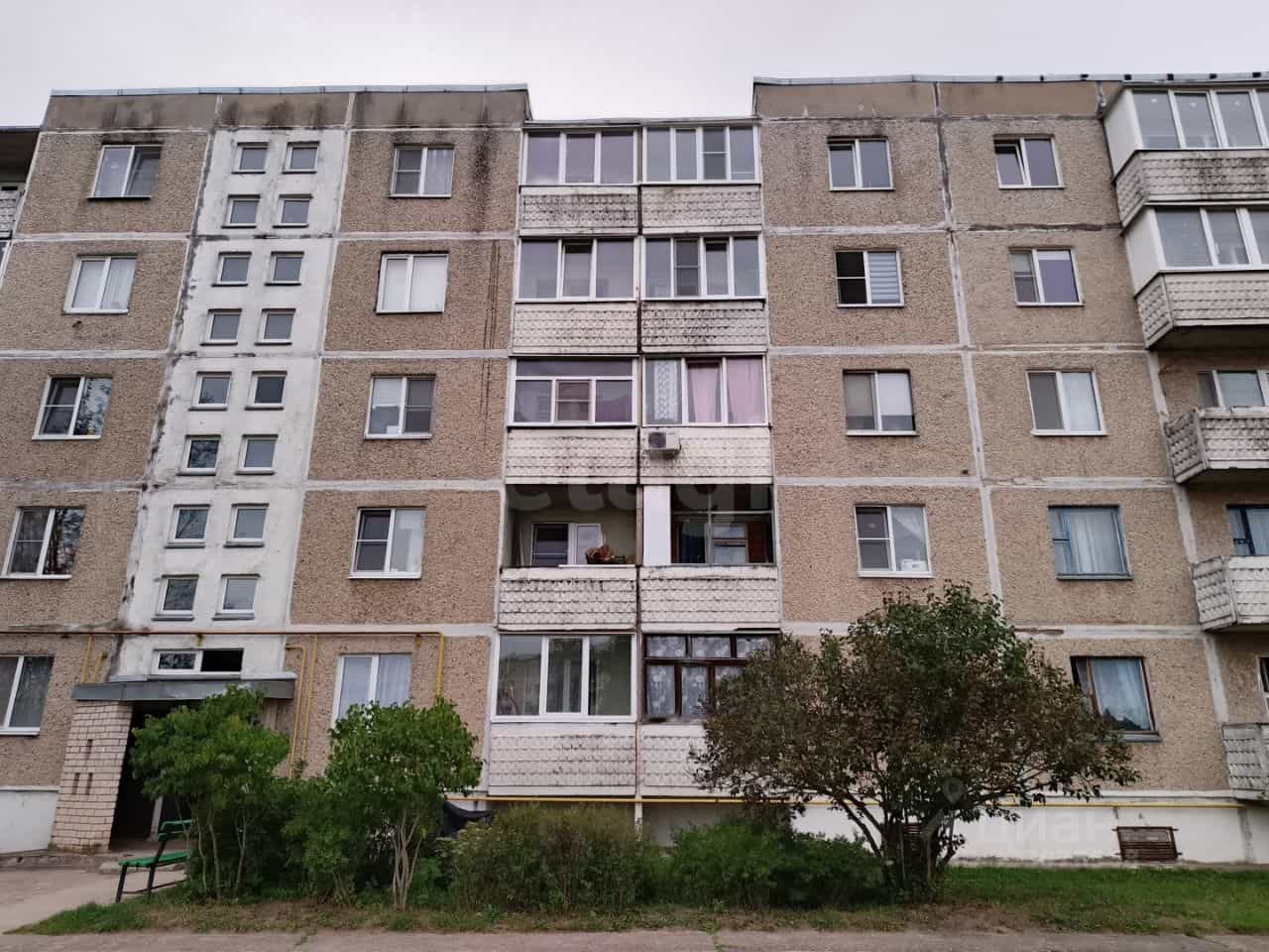 Россия, Псковская область, Остров, микрорайон Строитель, 16, фото 20