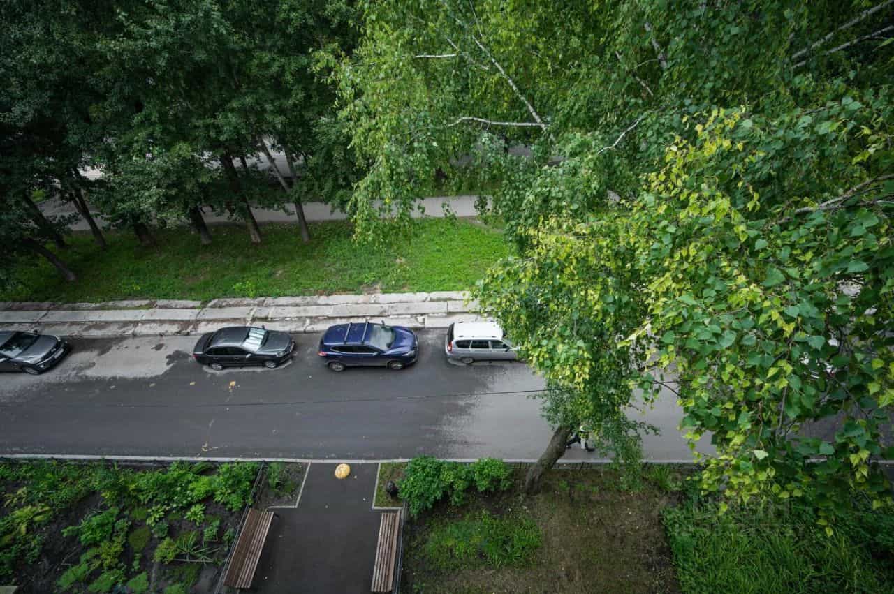 Россия, Ульяновск, Камышинская улица, 24, фото 28