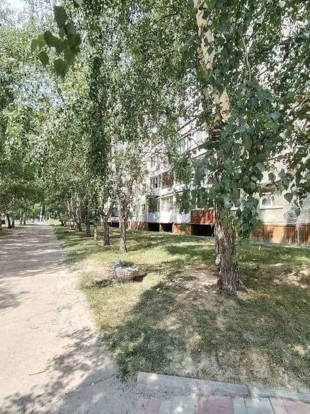 Россия, Алтайский край, Барнаул, улица Сухэ-Батора, 8, фото 18