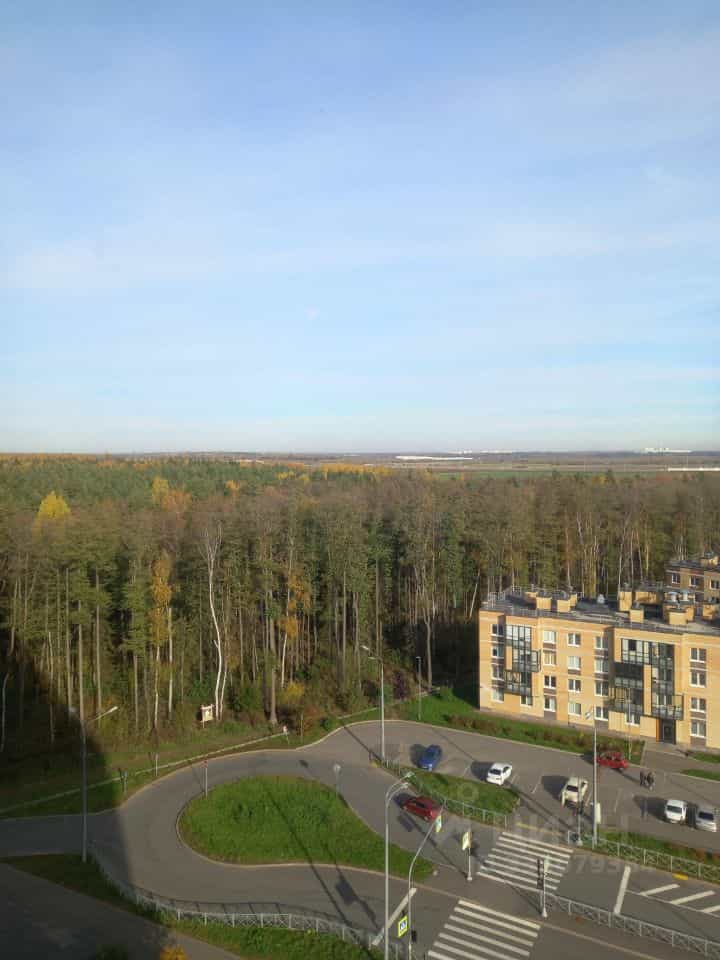 Россия, Санкт-Петербург, Гладышевский проспект, 38к1, фото 15