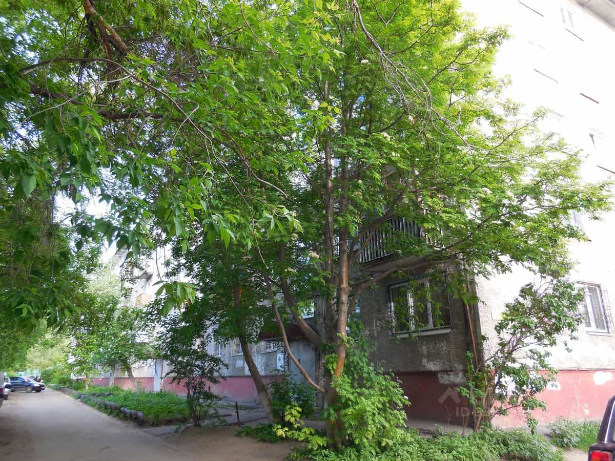 Россия, Омск, проспект Мира, 96А, фото 25