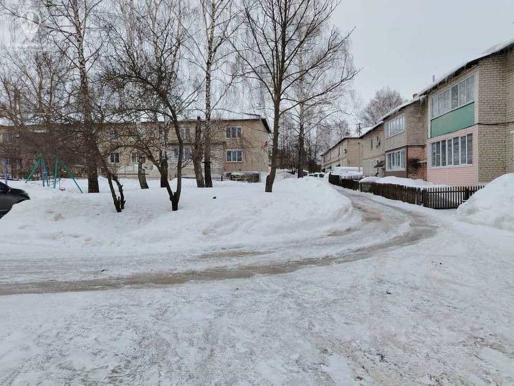 Россия, Рязанская область, Скопин, улица Ленина, 180, фото 27
