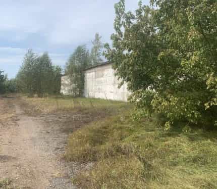 Беларусь, Могилёвская область, Бобруйский район, Горбацевичский сельсовет, деревня Петровичи, Советская улица, 23