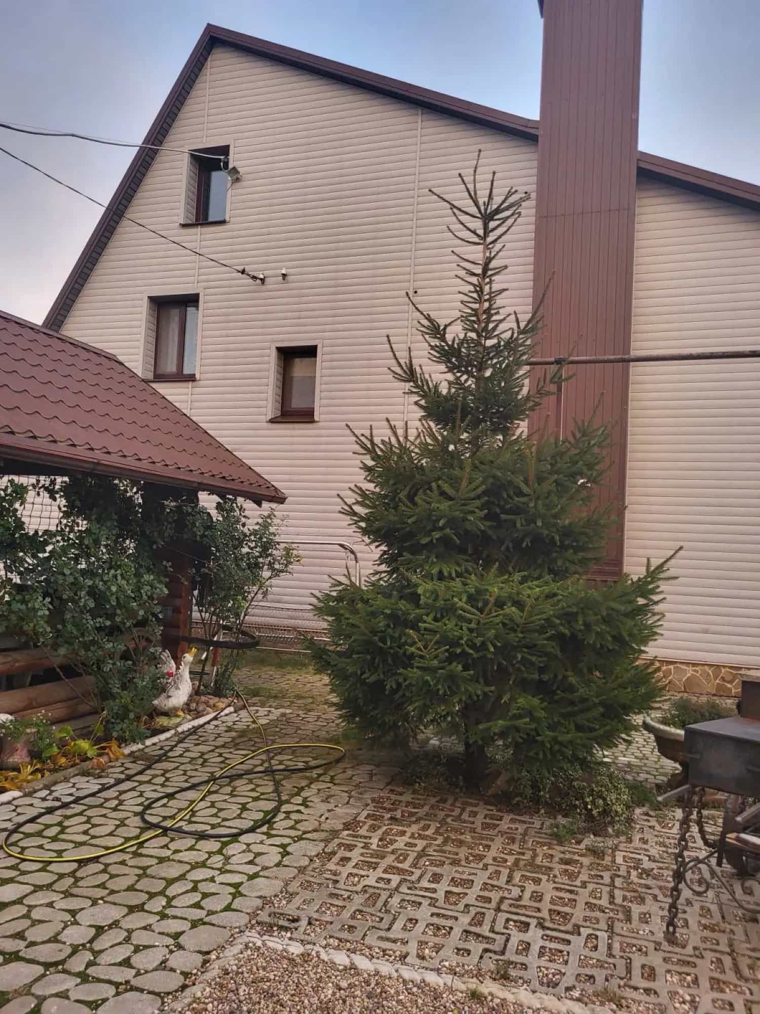 Беларусь, Брестская область, Барановичи, 3-й Русиновский переулок, 19, фото 3