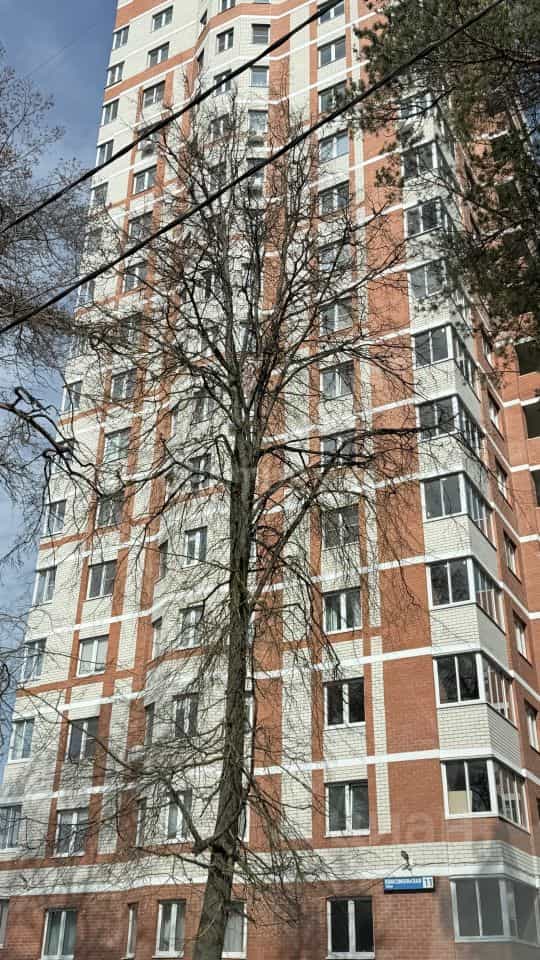 Россия, Калужская область, Обнинск, Комсомольская улица, 11, фото 4