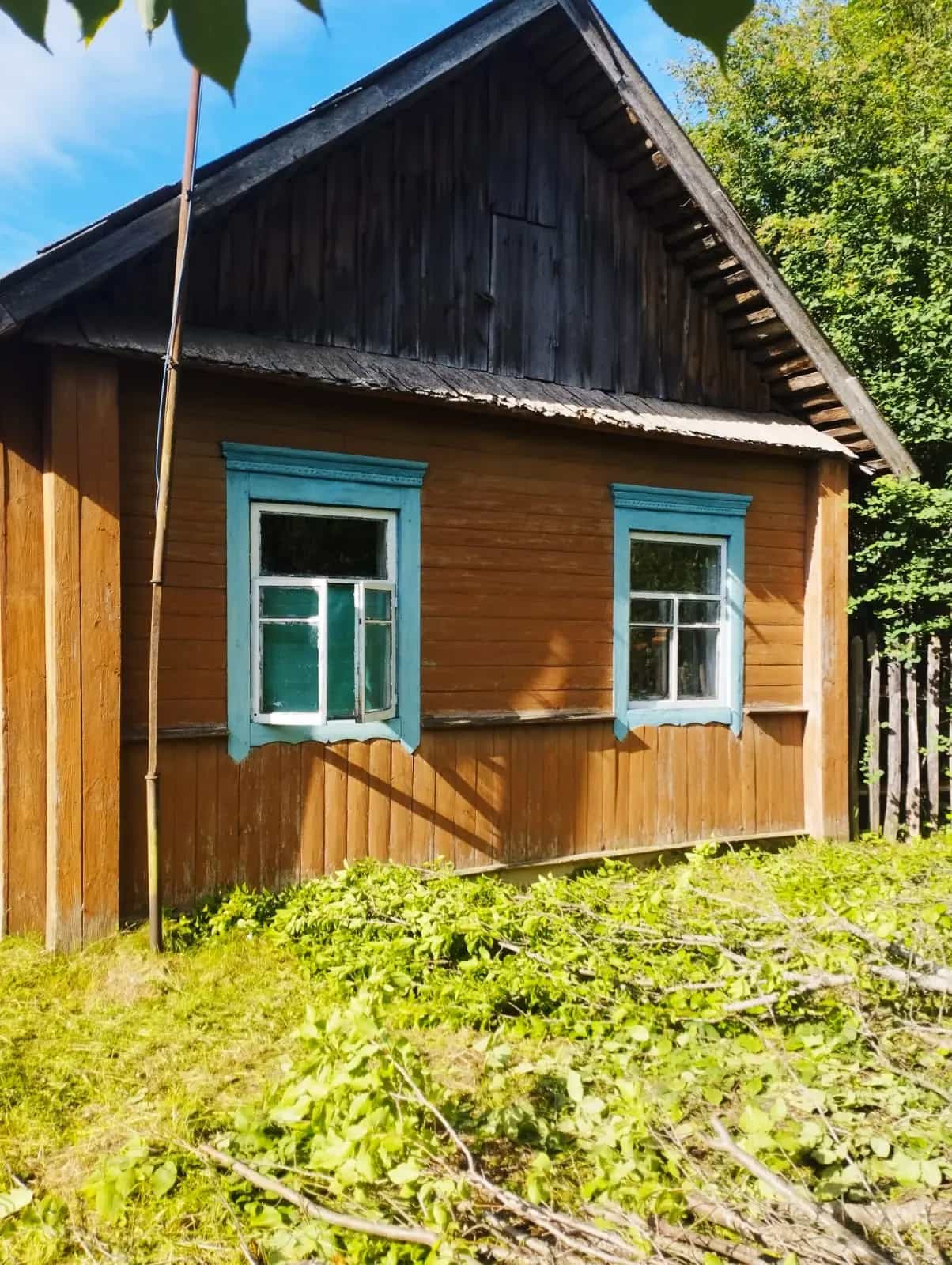 Беларусь, Могилёвская область, Осиповичский район, Протасевичский сельсовет, деревня Деревцы, Лесная улица, 3