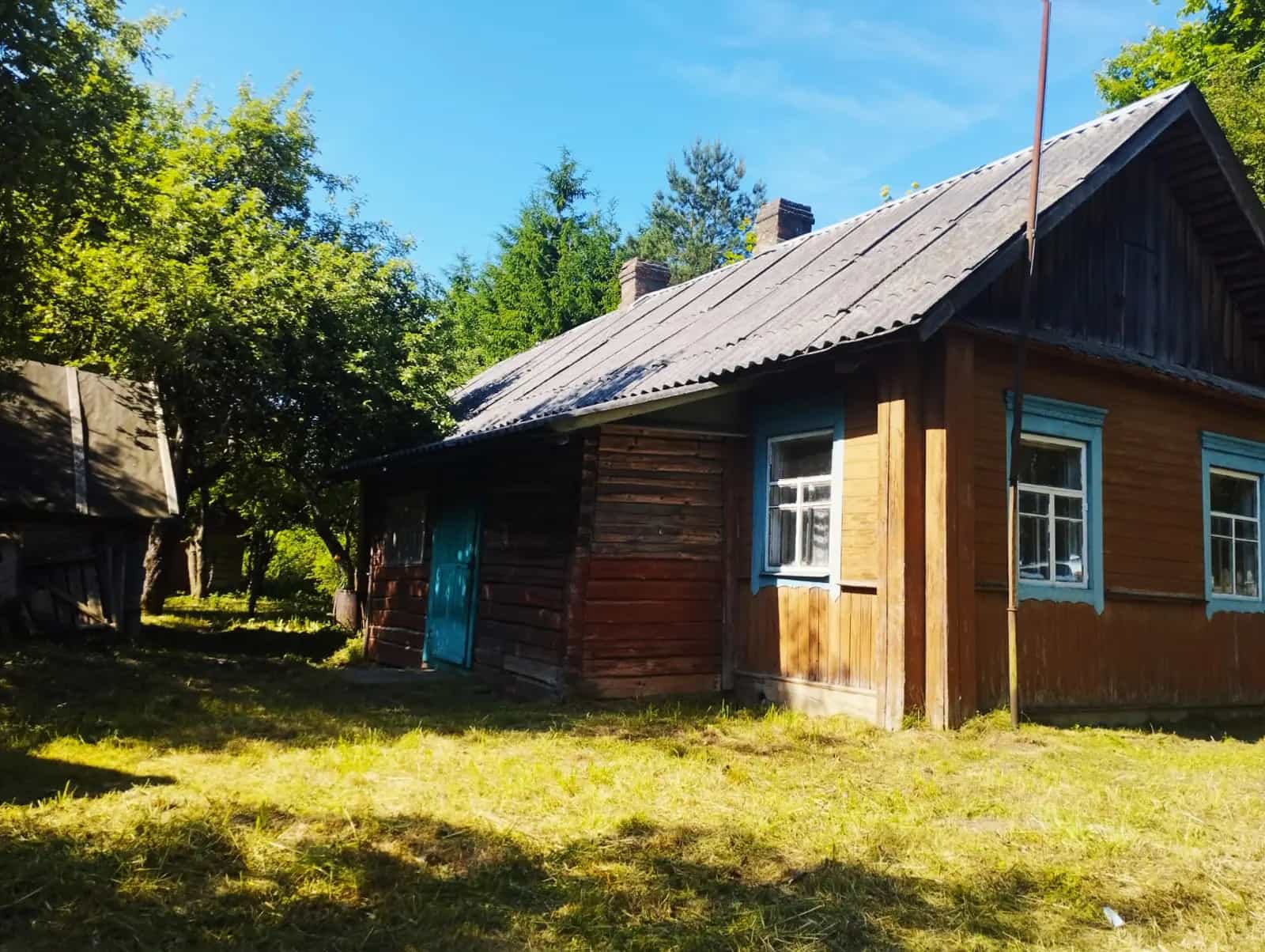 Беларусь, Могилёвская область, Осиповичский район, Протасевичский сельсовет, деревня Деревцы, Лесная улица, 3, фото 2