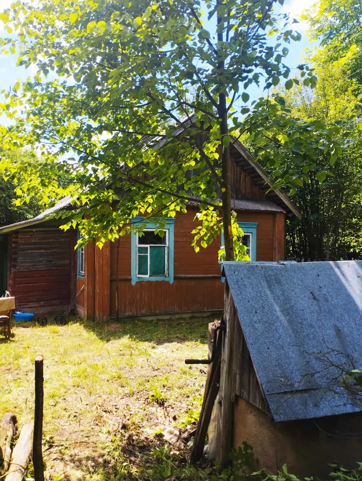 Беларусь, Могилёвская область, Осиповичский район, Протасевичский сельсовет, деревня Деревцы, Лесная улица, 3, фото 3