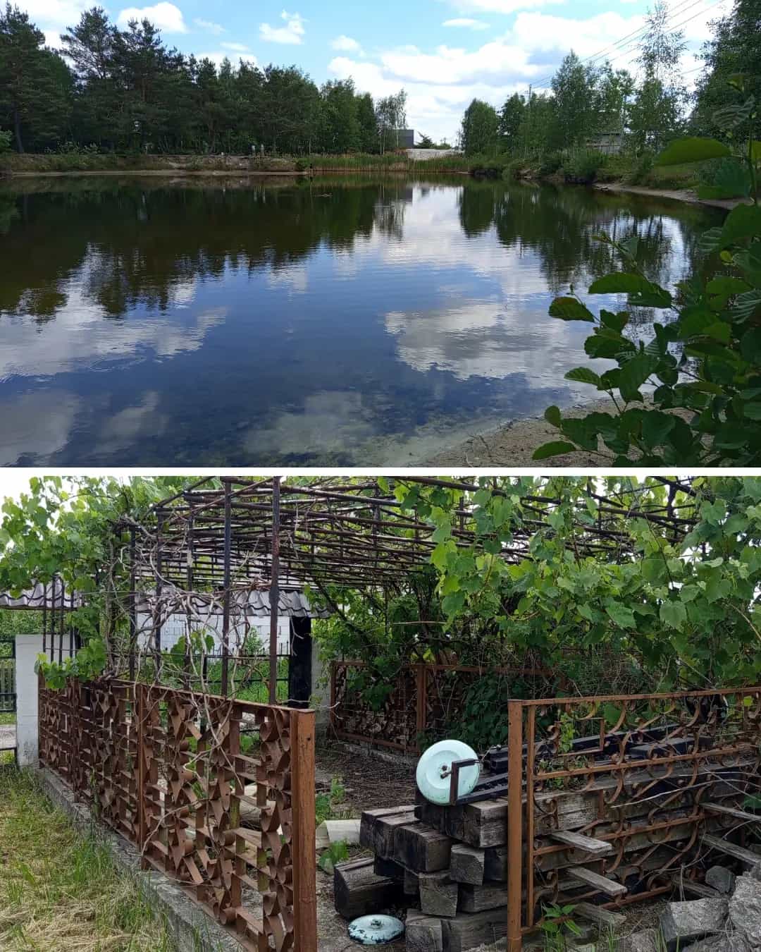 Беларусь, Брестский район, Мухавецкий сельсовет, СТ Астра, 277, фото 4