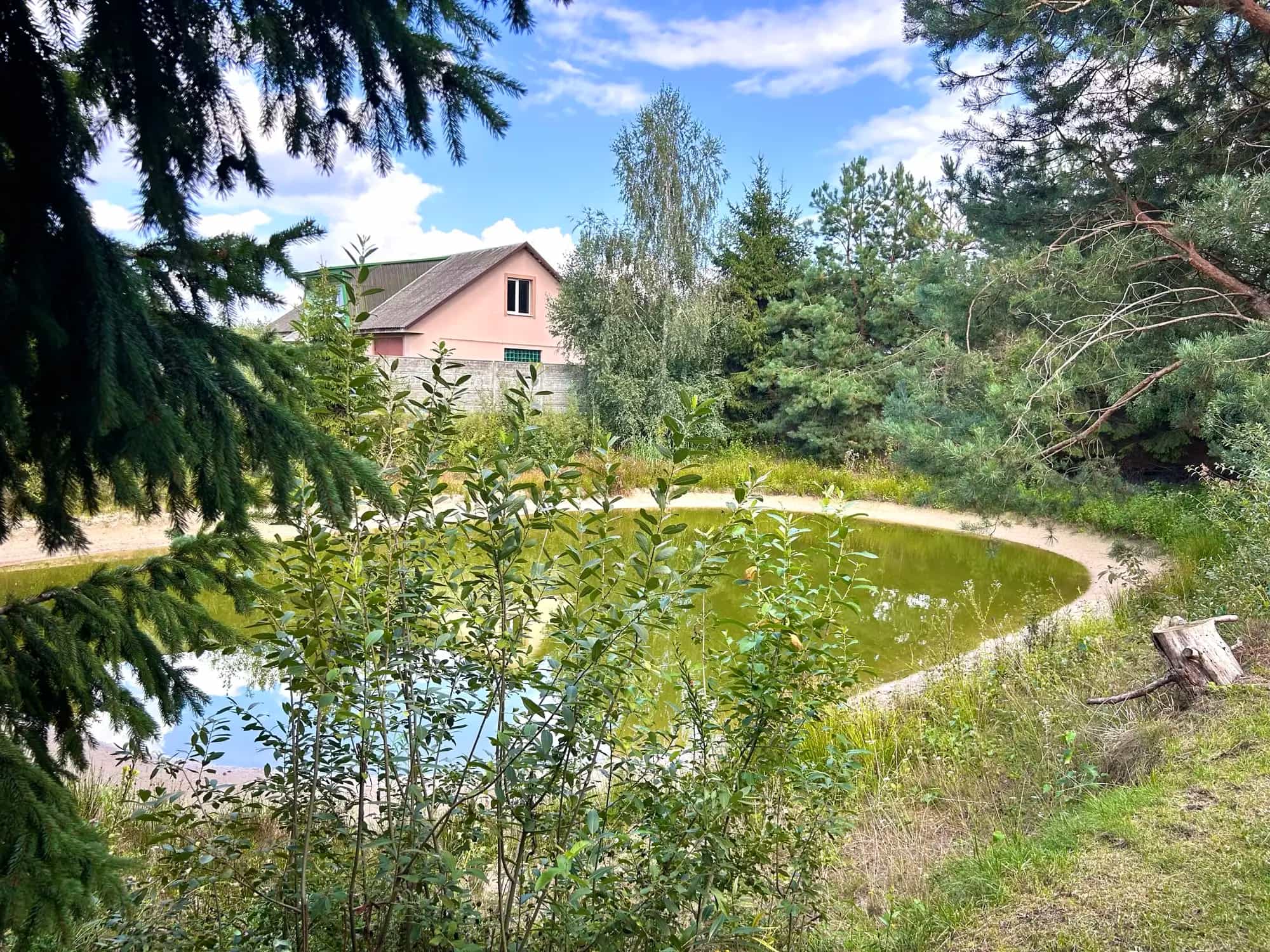 Беларусь, Брестская область, Кобринский район, Буховичский сельсовет, деревня Большие Лепесы, улица Фальковского, 52, фото 9