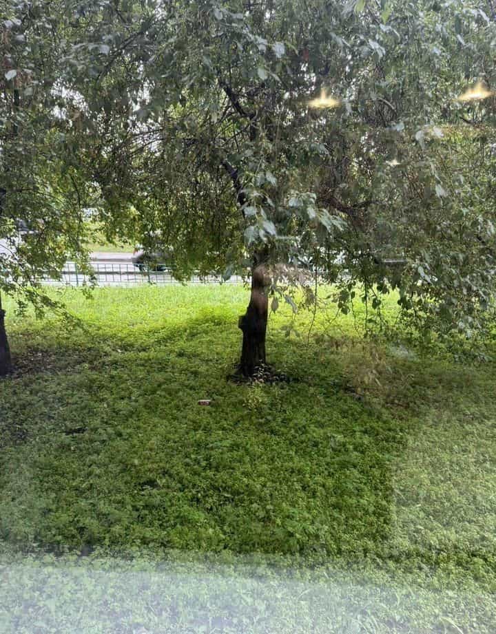 Россия, Иркутск, проспект Маршала Жукова, 70А, фото 21