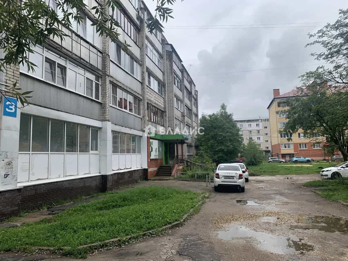 Россия, городской округ Нижний Новгород, сельский посёлок Дружный, 3, фото 15