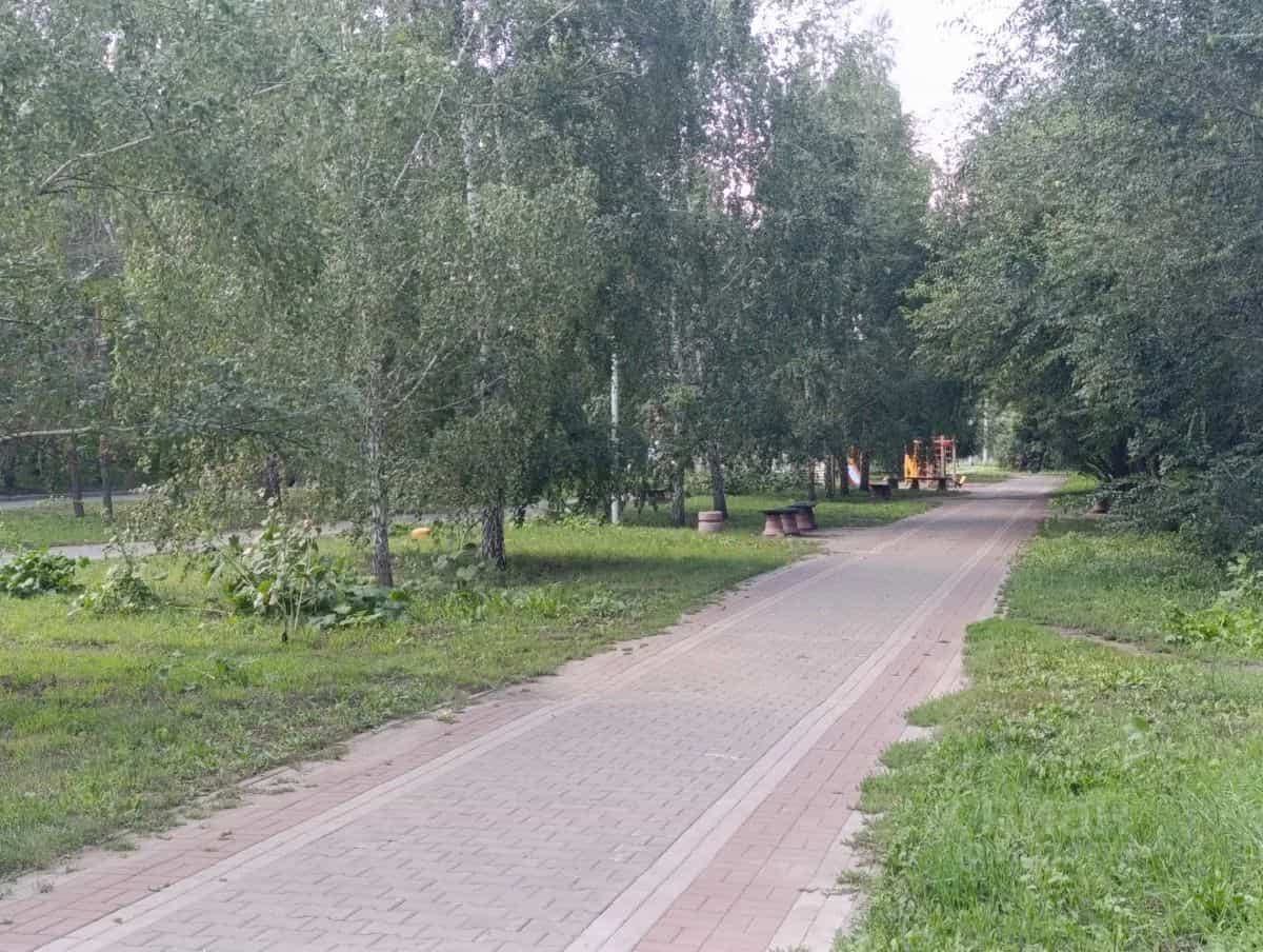Россия, Омск, улица Дмитриева, 11/1, фото 12