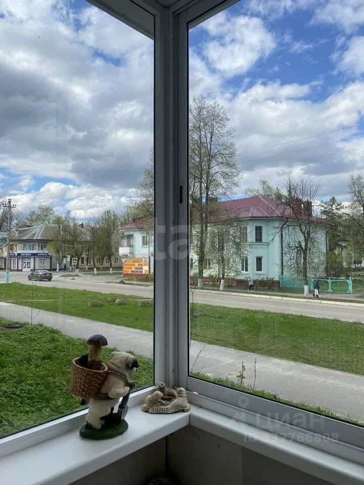 Россия, Брянская область, Сельцо, улица Кирова, 30, фото 13