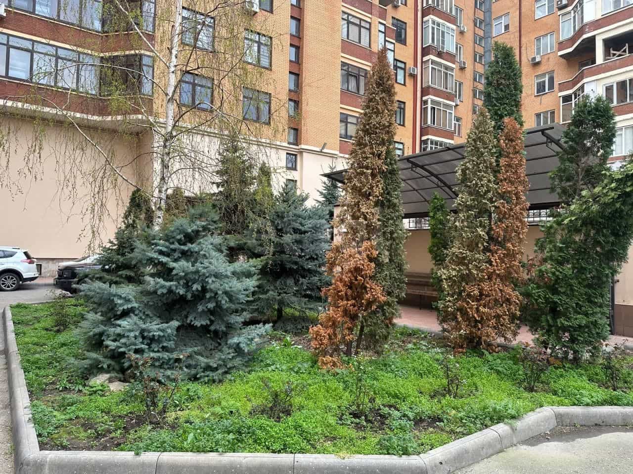 Россия, Республика Дагестан, Махачкала, улица Дахадаева, 40, фото 29