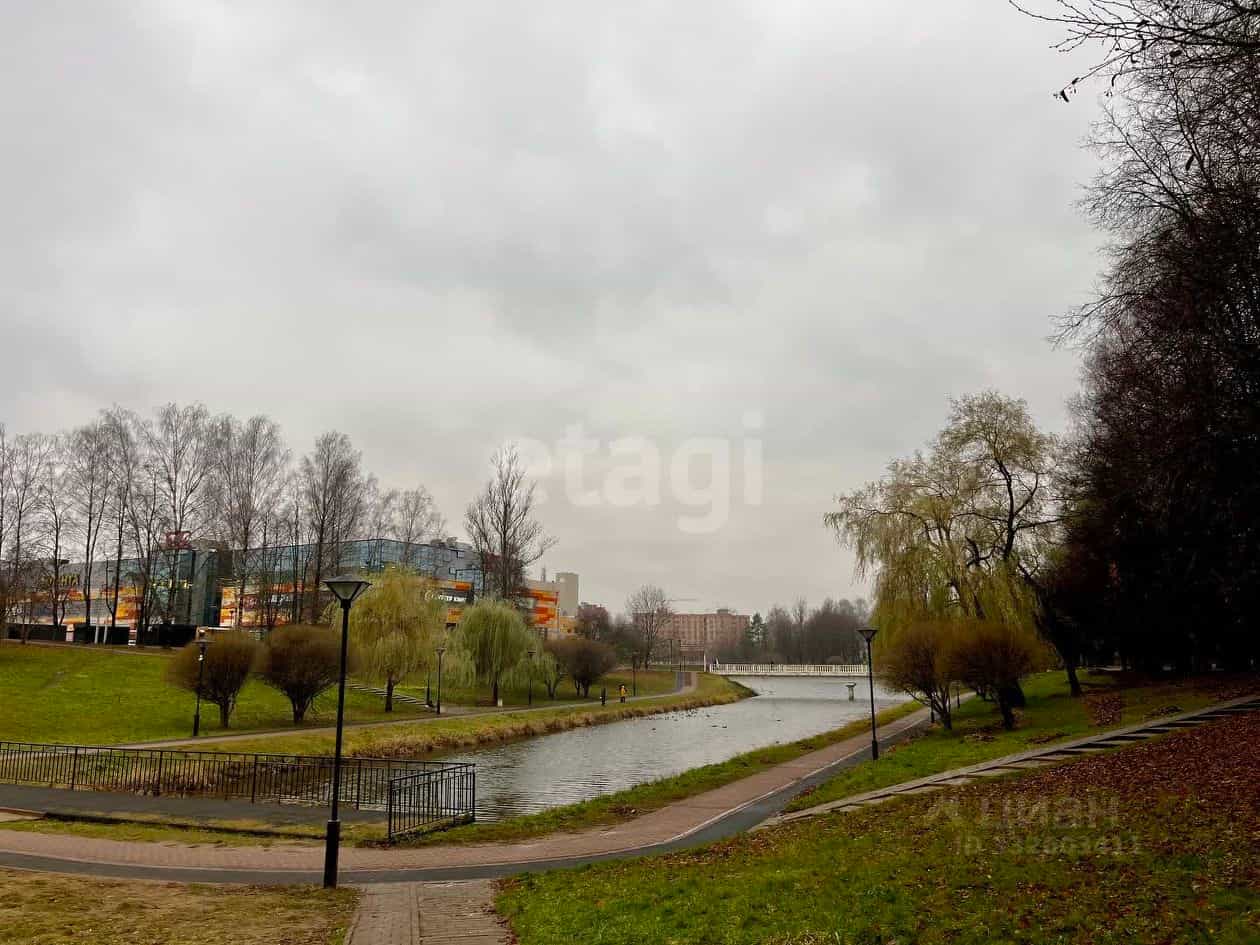 Россия, Смоленск, улица Ломоносова, 19, фото 21
