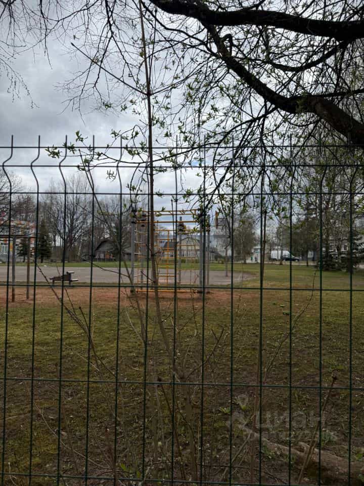 Россия, Новгородская область, Чудовский муниципальный округ, Грузинское сельское поселение, село Грузино, Школьная улица, 6, фото 14