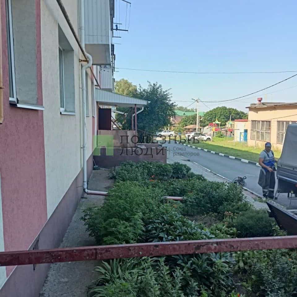 Россия, Белгородский муниципальный округ, село Крутой Лог, Октябрьская улица, 2, фото 2