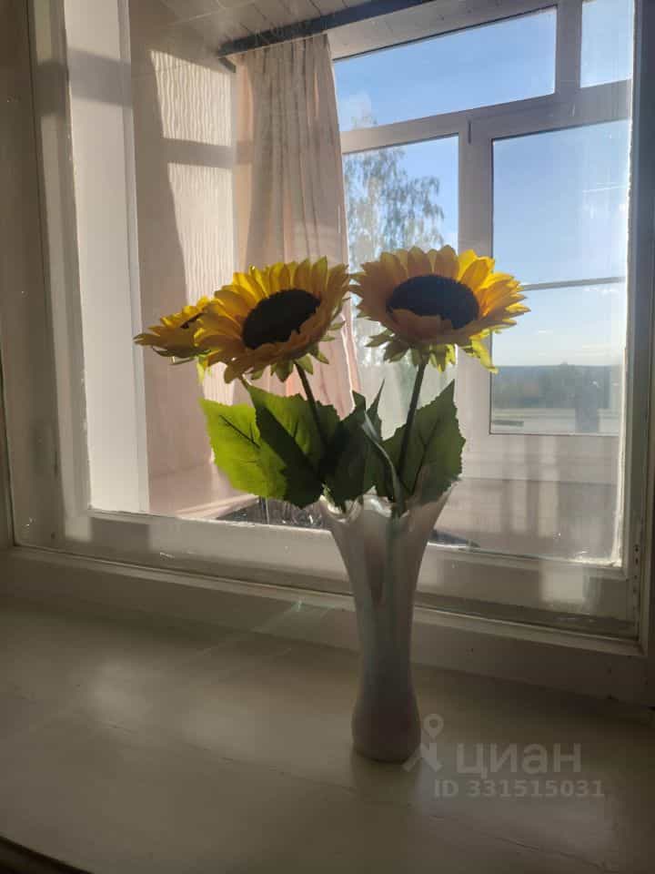 Россия, Республика Коми, Сыктывкар, улица Морозова, 43, фото 11