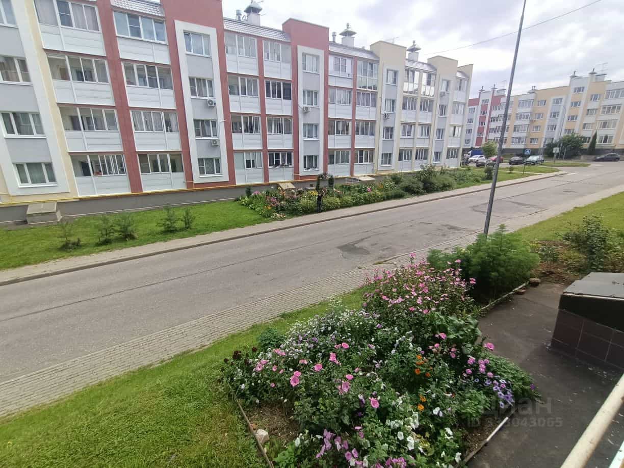 Россия, Московская область, муниципальный округ Истра, деревня Чёрная, Садовая улица, 16, фото 22