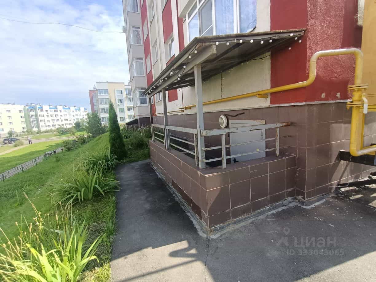 Россия, Московская область, муниципальный округ Истра, деревня Чёрная, Садовая улица, 16, фото 26