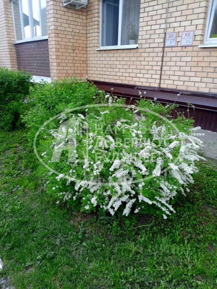 Россия, Пермь, улица Сакко и Ванцетти, 99, фото 2