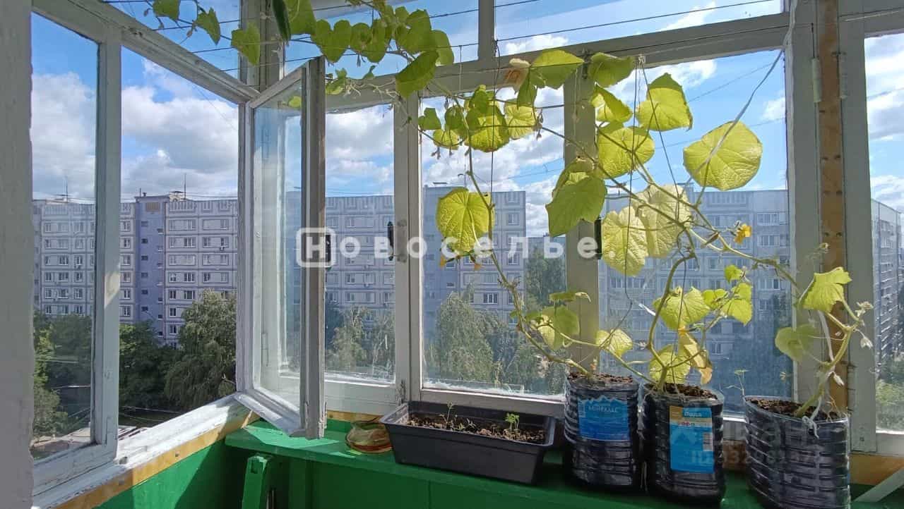 Россия, Рязань, улица Бирюзова, 28, фото 14