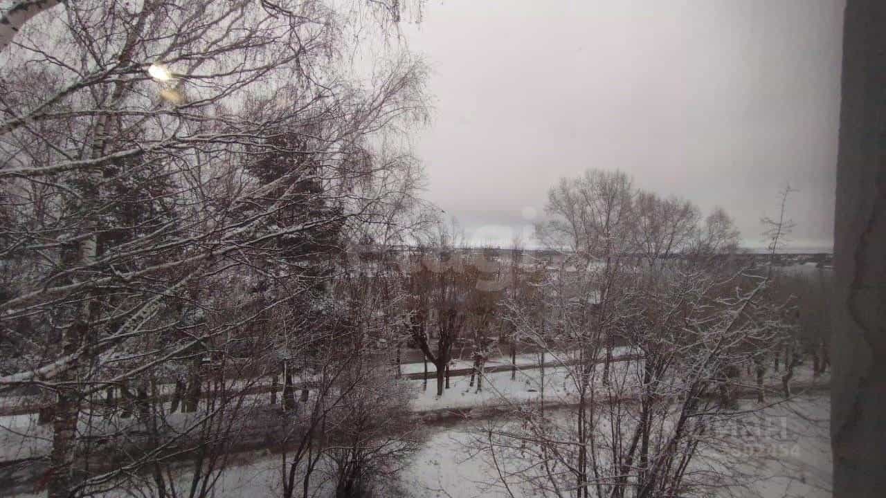 Россия, Кострома, улица Чайковского, 6, фото 18